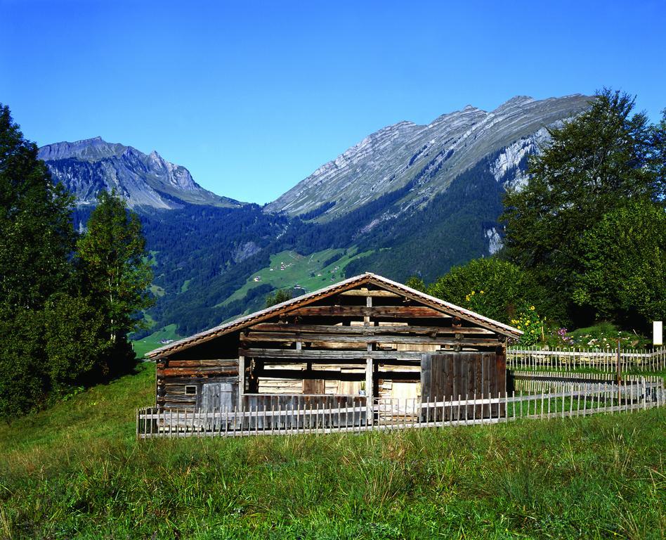 Kanis Appartements Schoppernau Luaran gambar